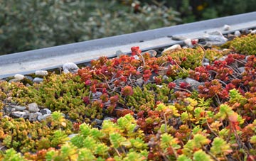 the cost of Cockshead green roof installation