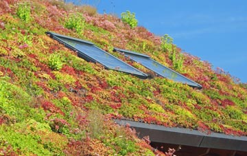 Cockshead living roof systems